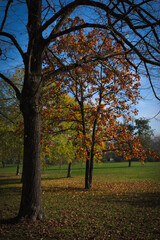 a park in autumn in Italy
