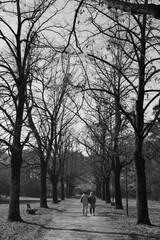 TWO ELDERLY PEOPLE WALKING IN THE PARK