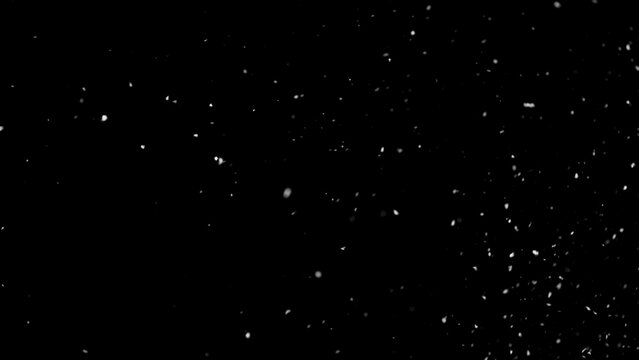 Freeze motion of natural snow falling on black background
