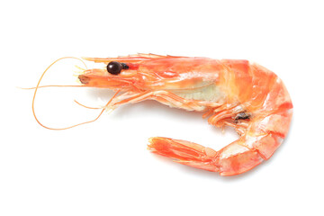 The shrimp has a distinct orange and pink color on white background, characteristic of being cooked. It is curled slightly into a 'C' shape