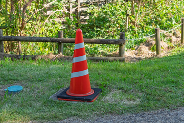 公園の芝生に置かれた赤いカラーコーンと緑の背景