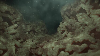 bacterias - Powered by Adobe