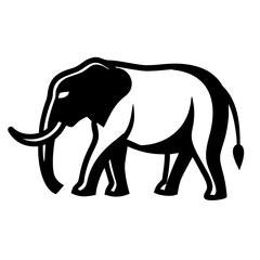 Fototapeta premium elephant vector illustration