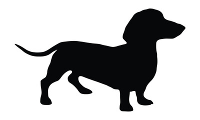 Silhouette of a dachshund dog with adobe illustrator logo