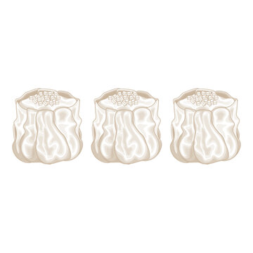 Vector Illustration Logo Line art Siu Mai Isolated