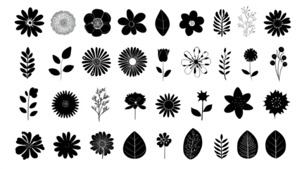 A collection of hand-drawn floral and leaf designs, showcasing various flower types and leaves in a simple, artistic style.