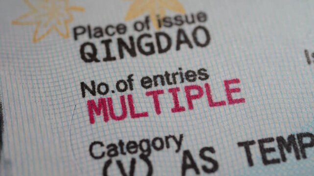A sharp close-up on visa entry terms, highlighting No. of entries MULTIPLE in bold red text within an official document.