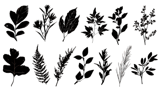A collection of various leaves, showcasing different shapes and textures arranged in an artistic manner.