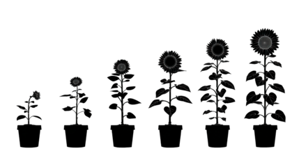 A series of stylized sunflowers in varying heights, displaying intricate petal designs and lush green leaves, arranged in order of growth.