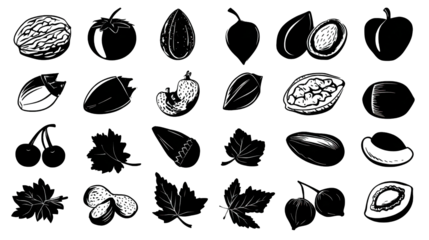 A collection of various organic shapes and textures, possibly representing seeds, nuts, and plant elements in a minimalistic style.