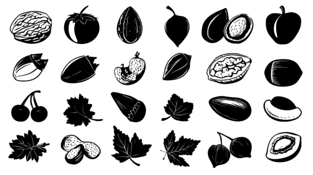 A collection of various organic shapes and textures, possibly representing seeds, nuts, and plant elements in a minimalistic style.