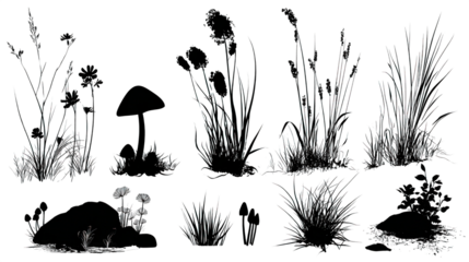 A collection of various plants and mushrooms illustrated in a line art style, showcasing the diversity of flora.