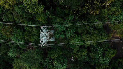 High-Voltage Power Tower Above Dense Forest