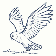 Stylized outline drawing of a snowy owl in flight with wings spread wide over grass