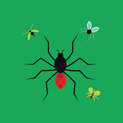 Vector illustration depicting a spider surrounded by various flying insects on a green background, showcasing a natural interaction between arachnids and arthropods in a stylized graphic
