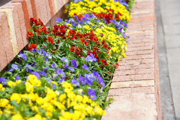 Fototapete bei efototapeten.de bestellen   