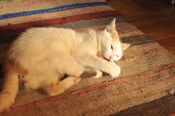 A white cat is playing with a ball of thread on the floor.
