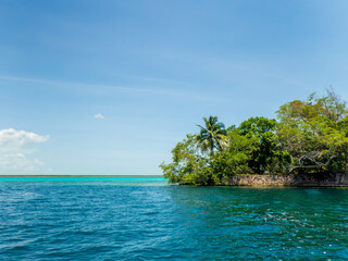 Le cénote négro et ses eaux sombres, dans la lagune de Bacalar