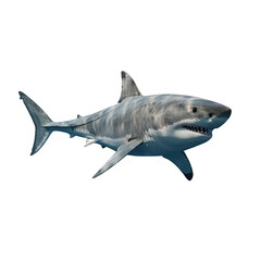 Naklejka premium Majestic Great White Shark Isolated on Black Background in Deep Ocean Water with Sharp Teeth and Powerful Body