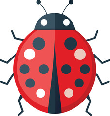 Obraz premium Ladybug A vibrant ladybug with its signature red and black spotted shell and antennae representing nature's beauty and a touch of whimsy.