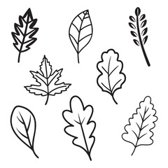 Set of leaves silhouettes