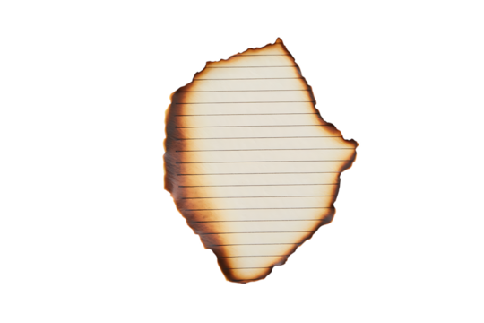 3d icon of a piece of burnt birch bark with a distinctive texture and charred edges, , suitable for nature and abstract themes