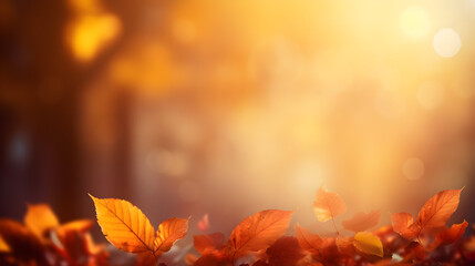 Amber leaves glow with warm light in this soft-focus nature background. Ideal for Thanksgiving, fall promotions, or social media posts.