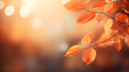 Orange leaves glow in soft light, perfect for autumn posters.
