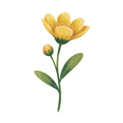 Watercolor illustration of a single yellow flower with a bud and green leaves
