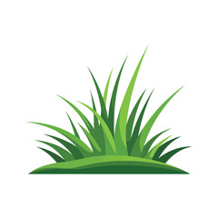 Illustration of a lush green clump of grass on a white background