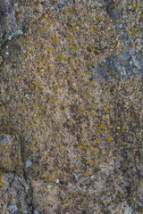 High Resolution marble,stone,, cement, callacatta,