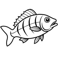 Obraz premium Snapper line art vector