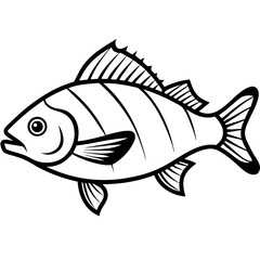 Snapper line art vector