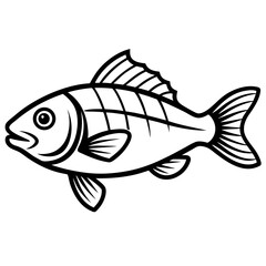 Snapper line art vector