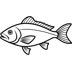 Snapper line art vector
