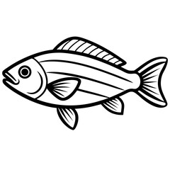 Snapper line art vector