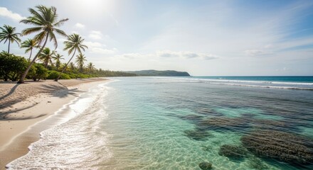 Idyllic Tropical Beach with Palm Trees and Turquoise Water