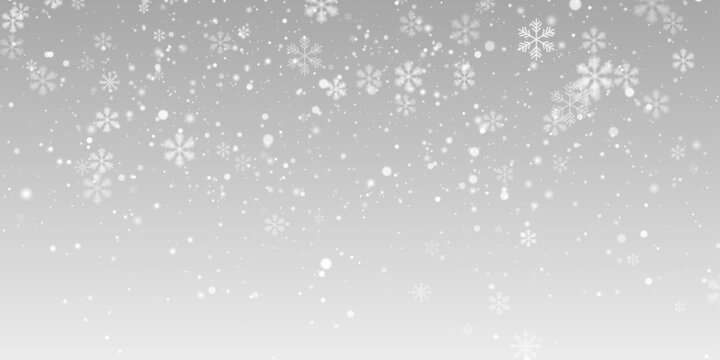Snow snowfall snowflakes winter overlay transparent falling background PNG