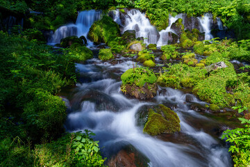 吹き出し公園の清流と苔むした岩（北海道京極町）