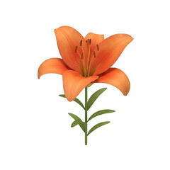 Orange lily flower with green stem and leaves isolated on a transparent background detailed botanical illustration
