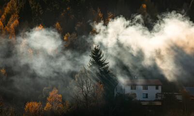 Fototapety na wymiar - Fototapeta24.pl