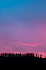 Fototapety na wymiar - Fototapeta24.pl