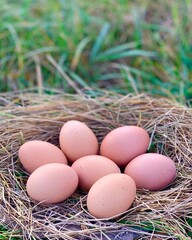 Farm organic eggs on a natural rustic background. Eco-friendly product. Concept of organic food