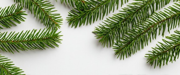 Obraz premium Several fresh green pine branches are thoughtfully arranged on a light background, perfect for seasonal decorations, crafts, or holiday designs