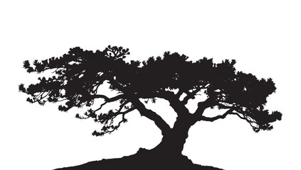 Majestic silhouette of an ancient, windswept tree with intricate branches reaching out against a clean white background, evoking strength and resilience.