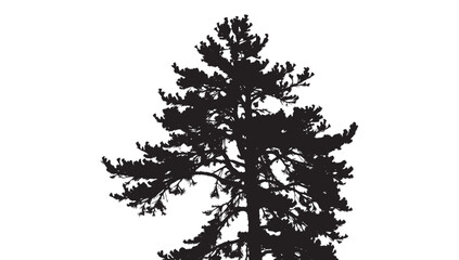 Stunning silhouette of a majestic pine tree reaching towards the sky, perfect for natural design and environmental themes