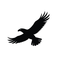 Obraz premium A black silhouette of an eagle with wings spread against white background