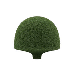 High resolution render of a detailed green mossy ground cover plant with multicolor accents isolated on transparent background full shot studio lighting