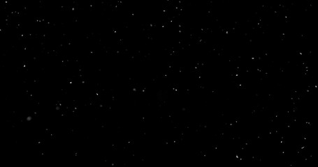 Fototapeta premium Falling snowflakes isolated on black background. Winter snow overlay texture for VFX, compositing, motion graphics and atmospheric effects