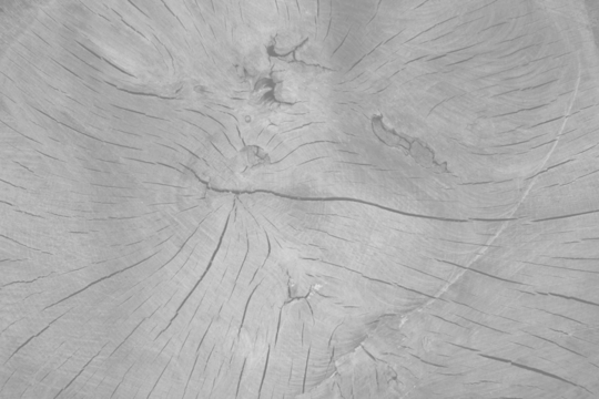 transparent wood texture layer background